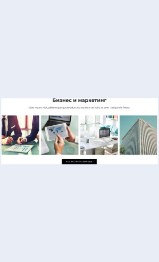 Biznesimarketing Бизнес и маркетинг Целевая страница Скин лендинга с редактором.