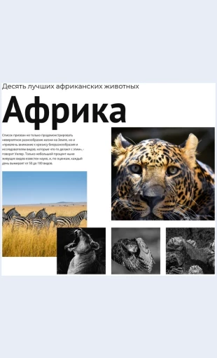Desyatafrikanskikhzhivotnykh Десять африканских животных Целевая страница Скин лендинга с редактором.