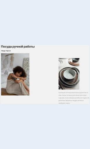 Dizaynerposudy Дизайнер посуды Целевая страница Скин лендинга с редактором.