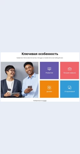 Dizaynirazvitie Дизайн и развитие Целевая страница Скин лендинга с редактором.