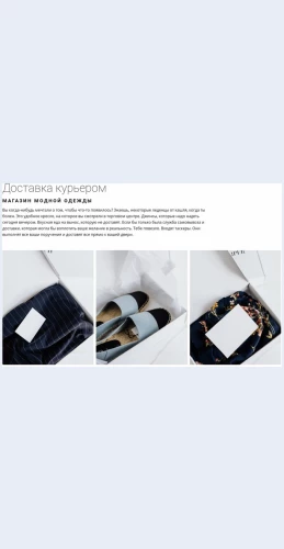 Dostavkaizmodnogomagazina Доставка из модного магазина Целевая страница Скин лендинга с редактором.
