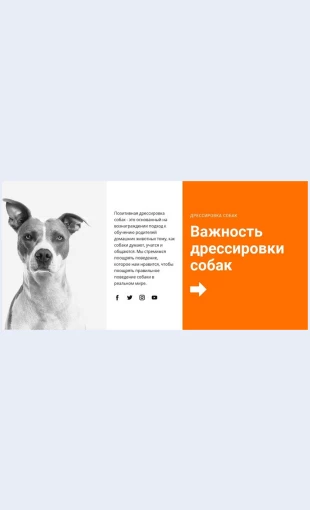 Dressirovkasobakvshkole Дрессировка собак в школе Целевая страница Скин лендинга с редактором.