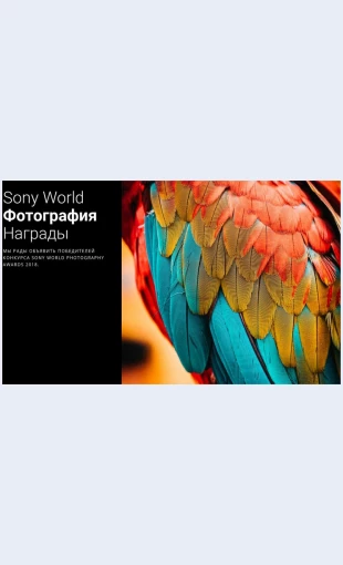 Fotopremiyagoda Фотопремия года Целевая страница Скин лендинга с редактором.