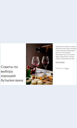 Khoroshayabutylkavina Хорошая бутылка вина Целевая страница Скин лендинга с редактором.