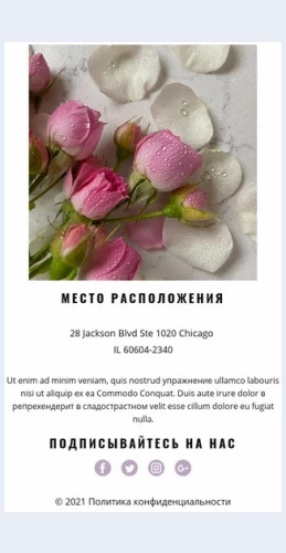 Kontaktystudiitsvetov Контакты студии цветов Целевая страница Скин лендинга с редактором.