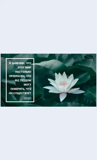 Krasotanasheyprirody Красота нашей природы Целевая страница