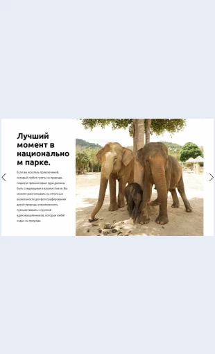 Luchshiyvidvnatsionalnomparke Лучший вид в национальном парке Целевая страница Скин лендинга с редактором.