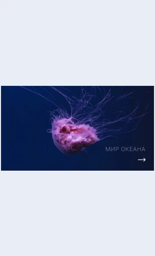 Mirokeana Мир океана Целевая страница Скин лендинга с редактором.