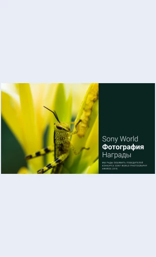 Mirovayafotografiya Мировая фотография Целевая страница Скин лендинга с редактором.