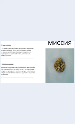 Nashamissiyaitseli Наша миссия и цели Целевая страница Скин лендинга с редактором.