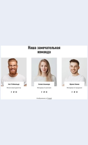 Nashazamechatelnayakomanda Наша замечательная команда Целевая страница Скин лендинга с редактором.