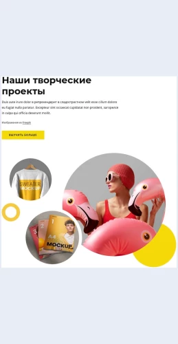 Nashitvorcheskieproekty Наши творческие проекты Целевая страница Скин лендинга с редактором.