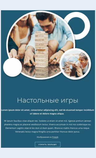 Nastolnyeigry Настольные игры Целевая страница Скин лендинга с редактором.