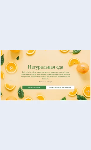 Naturalnayazdorovayapishcha Натуральная здоровая пища Целевая страница Скин лендинга с редактором.