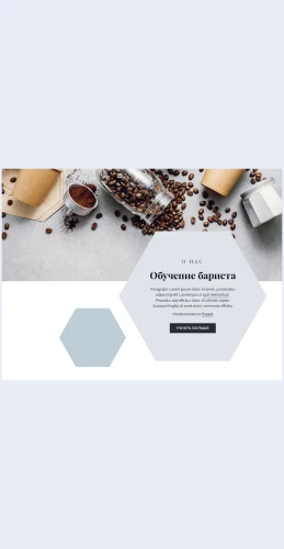 Obucheniebarista Обучение бариста Целевая страница Скин лендинга с редактором.