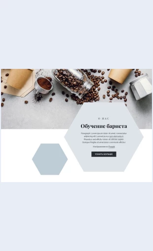 Obucheniebarista Обучение бариста Целевая страница Скин лендинга с редактором.