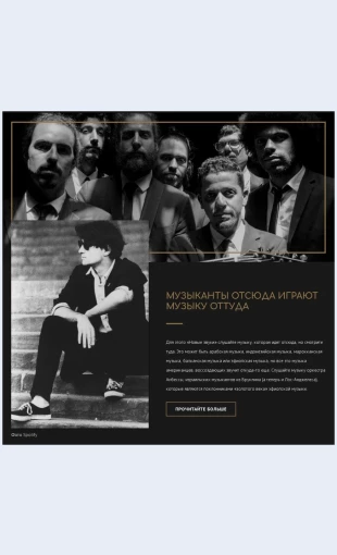 Omuzykantakh О музыкантах Целевая страница Скин лендинга с редактором.