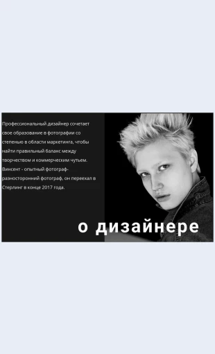 Oprodvizheniibiznesa О продвижении бизнеса Целевая страница Скин лендинга с редактором.