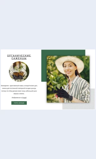 Organicheskayarassada Органическая рассада Целевая страница Скин лендинга с редактором.