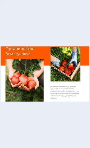Organicheskoezemledelie Органическое земледелие Целевая страница Скин лендинга с редактором.