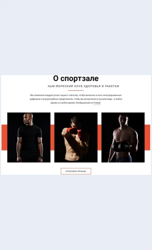 Osportzale О спортзале Целевая страница Скин лендинга с редактором.
