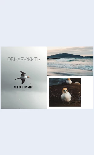 Otkroytedlyasebyaetotmir Откройте для себя этот мир Целевая страница Скин лендинга с редактором.