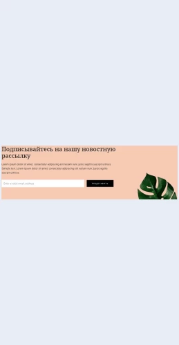 Podpiskananovostnuyurassylku Подписка на новостную рассылку Целевая страница