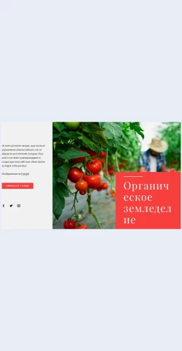 Printsipyorganicheskogozemledeliya Принципы органического земледелия Целевая страница