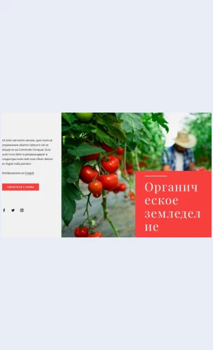 Printsipyorganicheskogozemledeliya Принципы органического земледелия Целевая страница