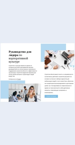 Putevoditellidera Путеводитель лидера Целевая страница Скин лендинга с редактором.