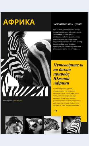 Putevoditelpodikoyprirodeafriki Путеводитель по дикой природе Африки Целевая страница Скин лендинга с редактором.