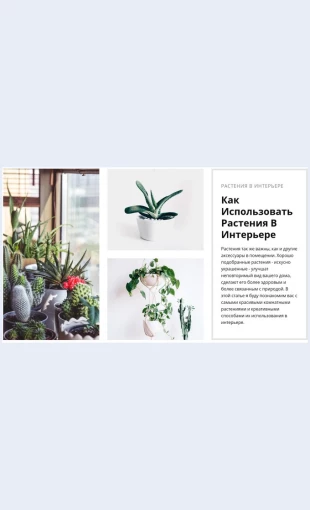 Rasteniyainterernye Растения интерьерные Целевая страница Скин лендинга с редактором.