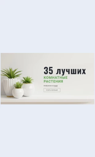 Rasteniyavinterere Растения в интерьере Целевая страница Скин лендинга с редактором.