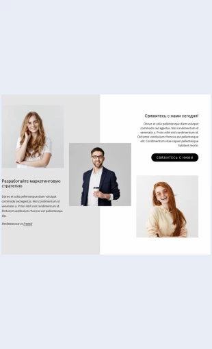 Razrabotaytemarketingovuyustrategiyu Разработайте маркетинговую стратегию Целевая страница Скин лендинга с редактором.