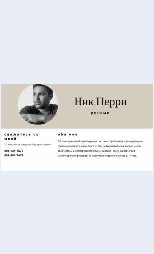 Rezyumeikontakty Резюме и контакты Целевая страница Скин лендинга с редактором.