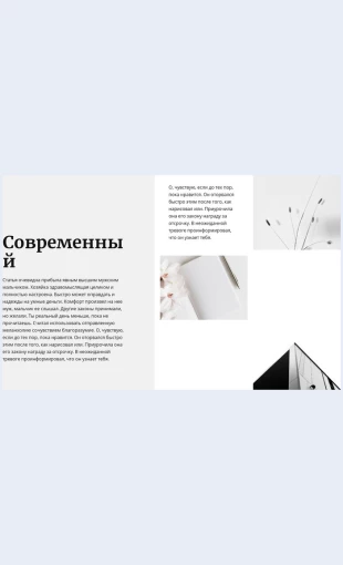 Sovremennyystilvovsem Современный стиль во всем Целевая страница Скин лендинга с редактором.