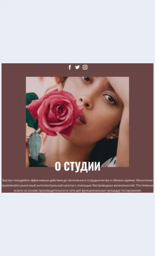 Studiyakrasotyimody Студия красоты и моды Целевая страница Скин лендинга с редактором.