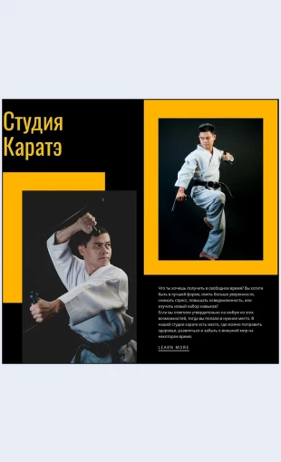 Studiyasportivnogokarate Студия спортивного карате Целевая страница Скин лендинга с редактором.