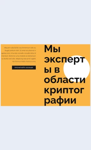Tekstkonsultatsiipokriptovalyute Текст консультации по криптовалюте Целевая страница Скин лендинга с редактором.