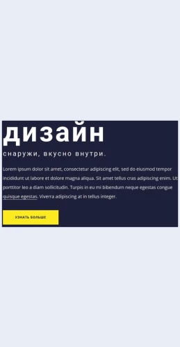 Tekstovyyblokskrupnymshriftom Текстовый блок с крупным шрифтом Целевая страница Скин лендинга с редактором.