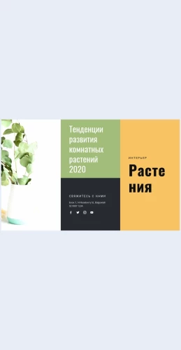 Tendentsiikomnatnykhrasteniy Тенденции комнатных растений Целевая страница Скин лендинга с редактором.