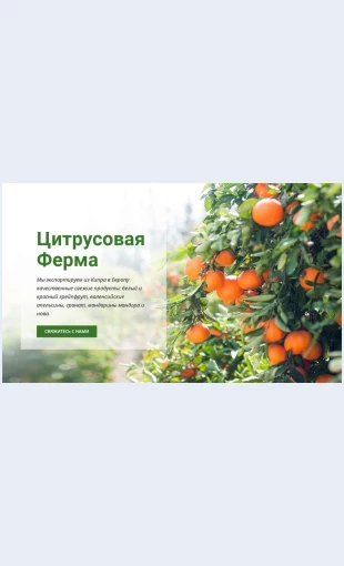 Tsitrusovayaferma Цитрусовая Ферма Целевая страница