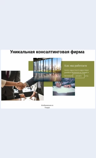 Unikalnayakonsaltingovayafirma Уникальная консалтинговая фирма Целевая страница Скин лендинга с редактором.