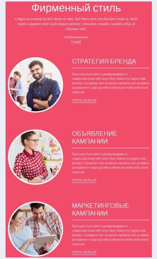 Unikalnoetorgovoepredlozhenie Распродажа Черная пятница Целевая страница Скин лендинга с редактором.