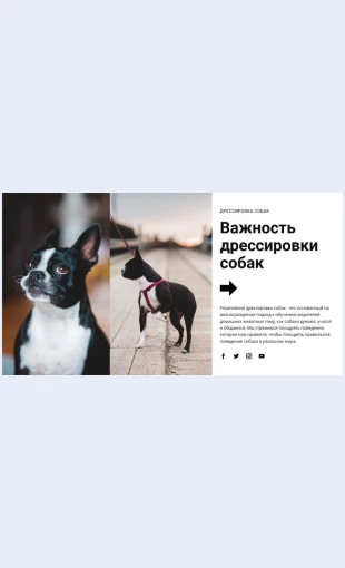 Vazhnayadressirovkasobak Важная дрессировка собак Целевая страница Скин лендинга с редактором.