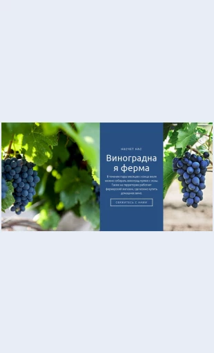 Vinogradnayaferma Виноградная ферма Целевая страница Скин лендинга с редактором.