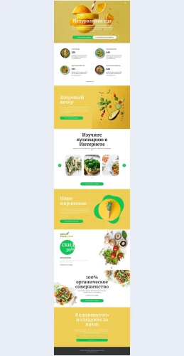 Vkusnayaizdorovayaeda Вкусная и здоровая еда Целевая страница Скин лендинга с редактором.
