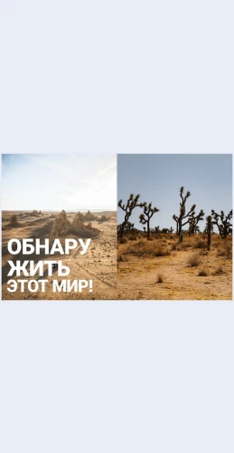 Beskonechnyepustyni Бесконечные пустыни Целевая страница Скин лендинга с редактором.