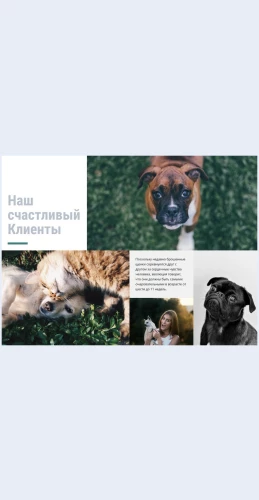 Bolnitsadlyadomashnikhzhivotnykh Больница для домашних животных Целевая страница Скин лендинга с редактором.