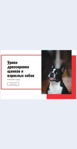 Dressirovkamaka Дрессировка мака Целевая страница Скин лендинга с редактором.